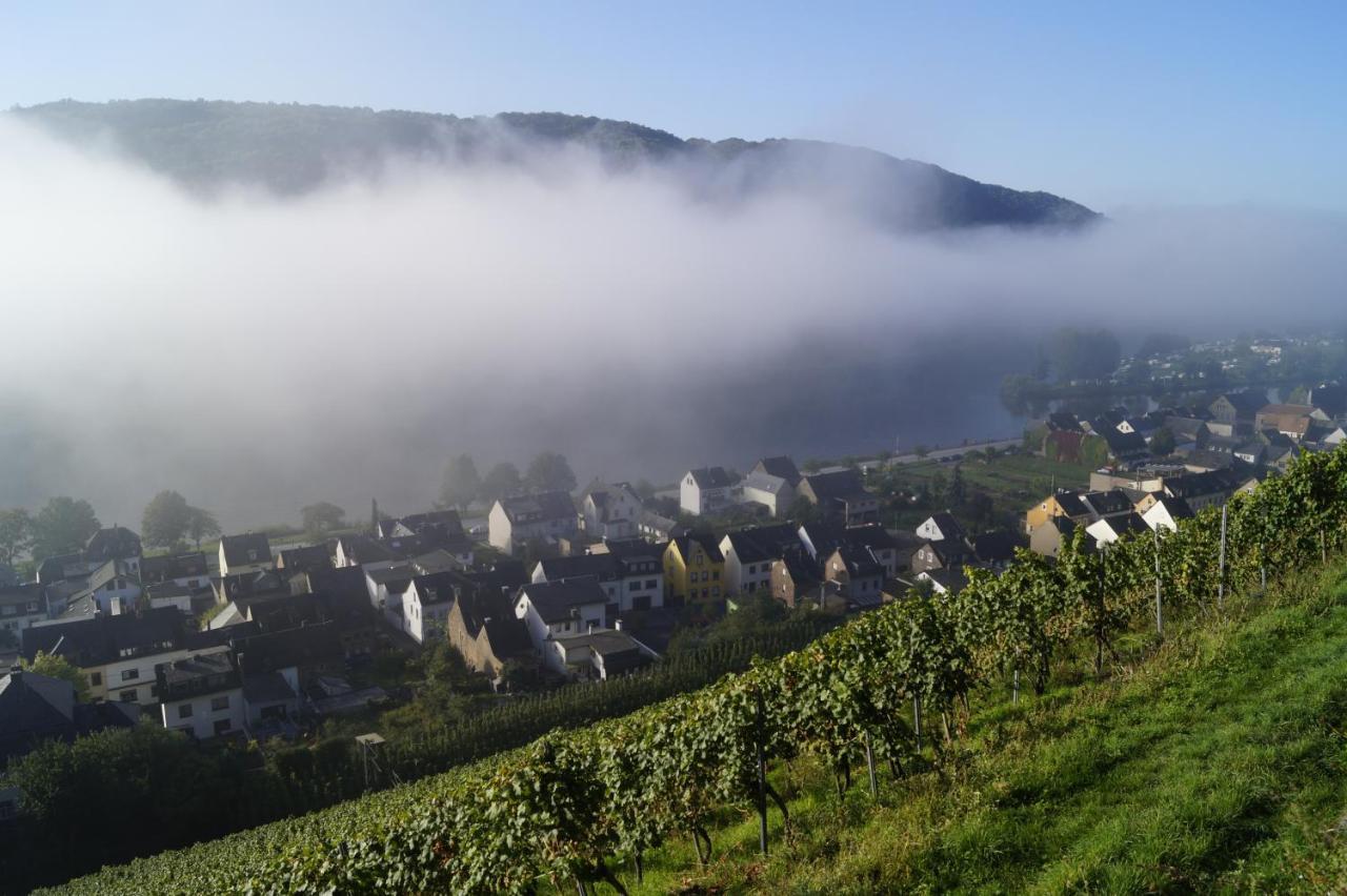 Winzerhof Gietzen Hotel Hatzenport Kültér fotó