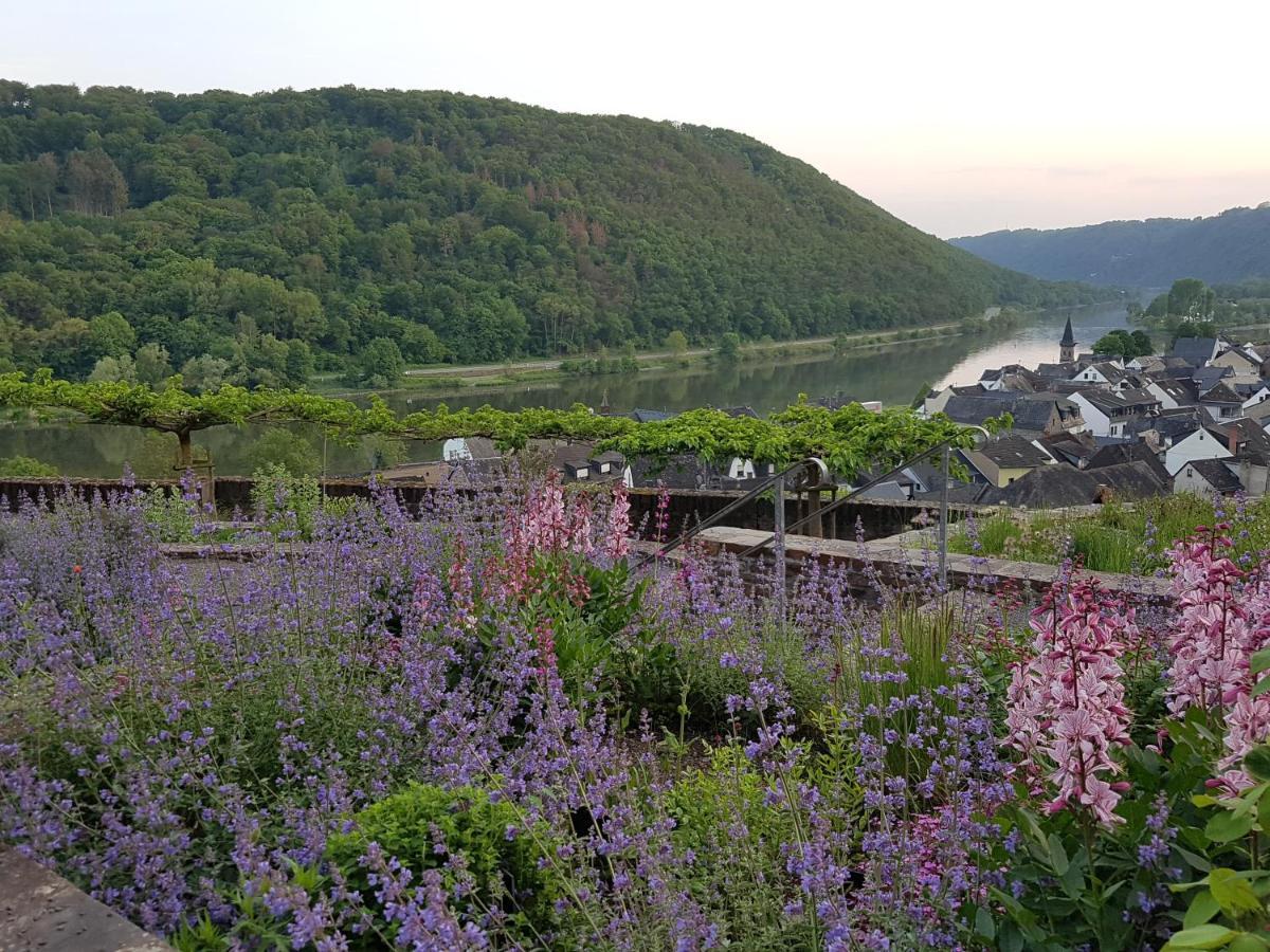 Winzerhof Gietzen Hotel Hatzenport Kültér fotó