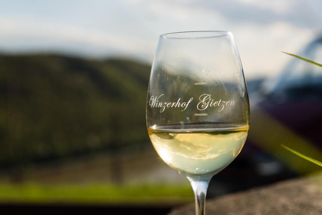 Winzerhof Gietzen Hotel Hatzenport Kültér fotó